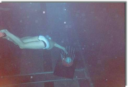 Unterwasser-Rugby - Korb