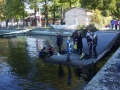 abtauchen201118
