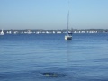 abtauchen201119