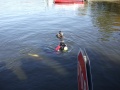 abtauchen201120