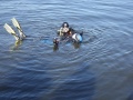 abtauchen201121