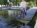 DSCF2795