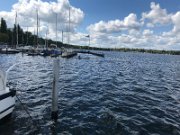 IMG_8596