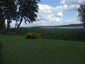 DSCF8175