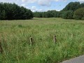 DSCF8177