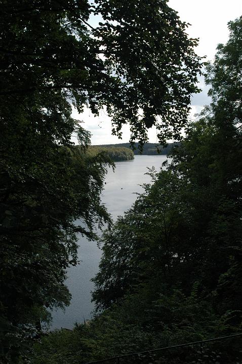 DSC_1443
