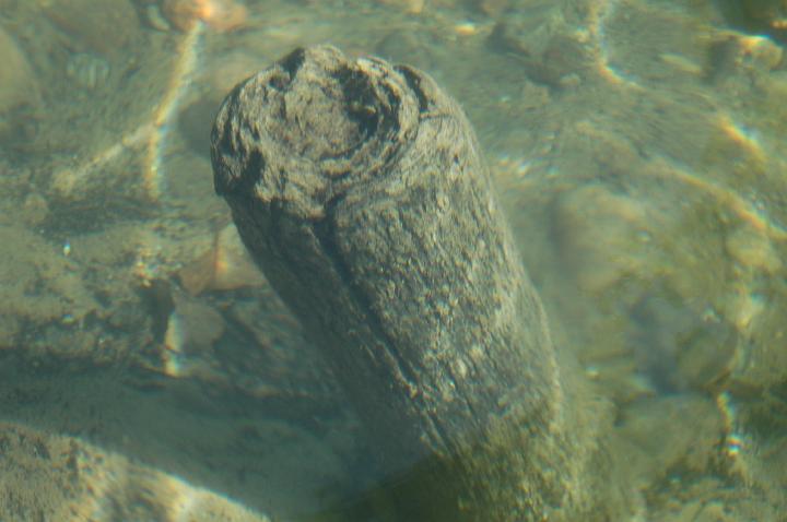 DSC_1452a