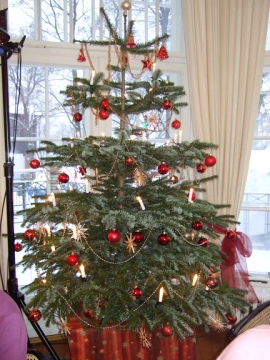 Weihnachtsfeier beim DUC Berlin 2012...