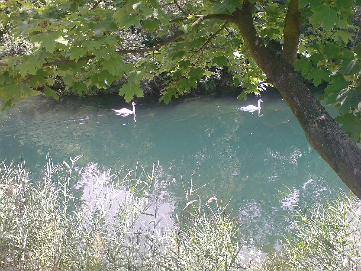 kulki0913