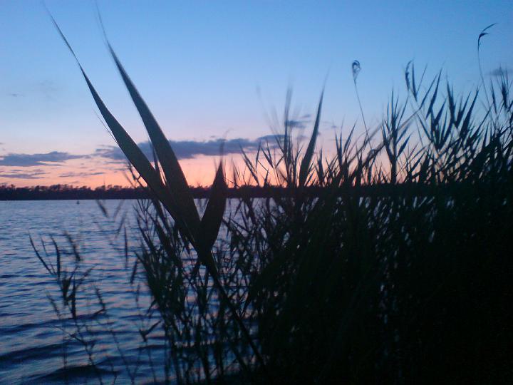 kulki0929