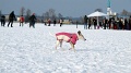 IMG_7696