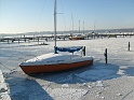 winter-am-wannsee091