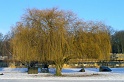 winter-am-wannsee0911